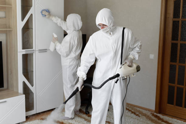 24/7 Emergency Odor Removal experts in Kapaa, HI